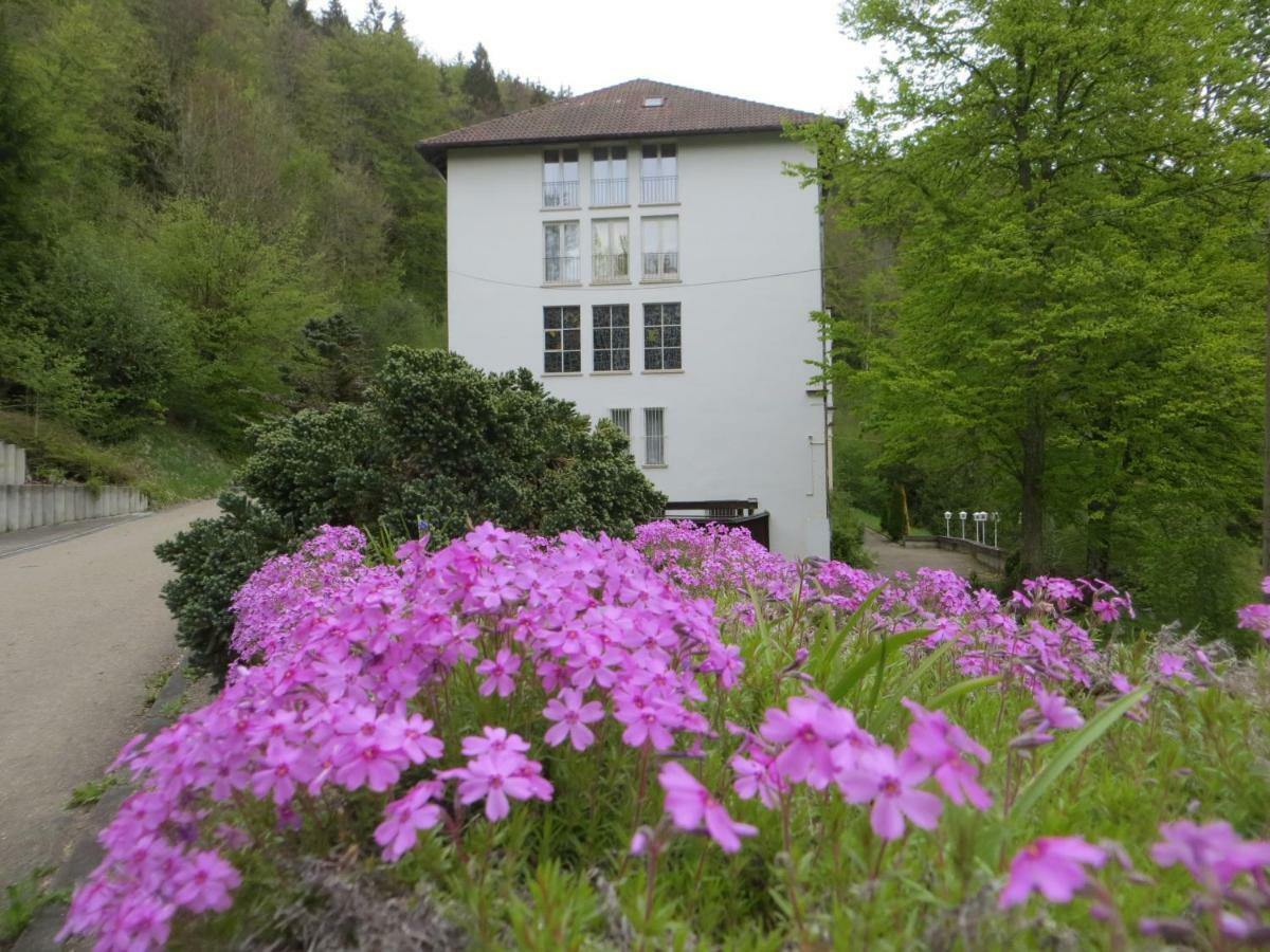 Gaeste- Und Tagungshaus Maria Trost Hotel Beuron Exterior photo